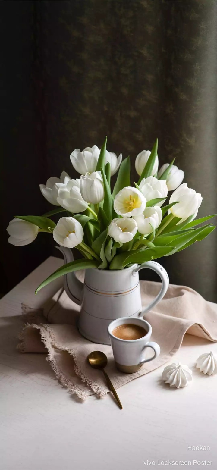 tulip