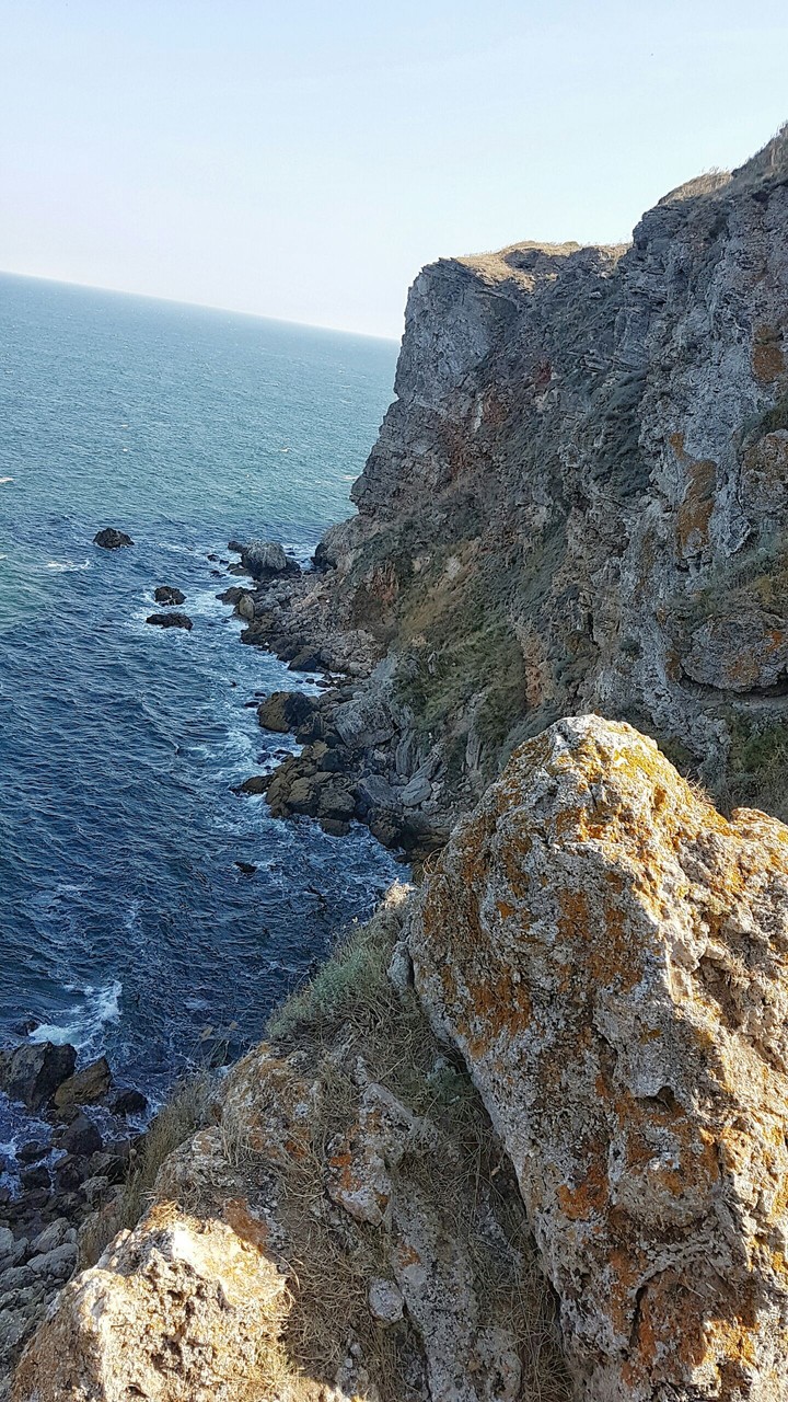 View