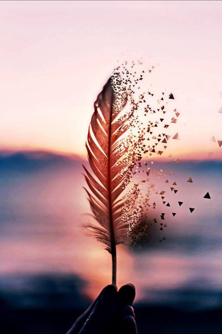 Feather