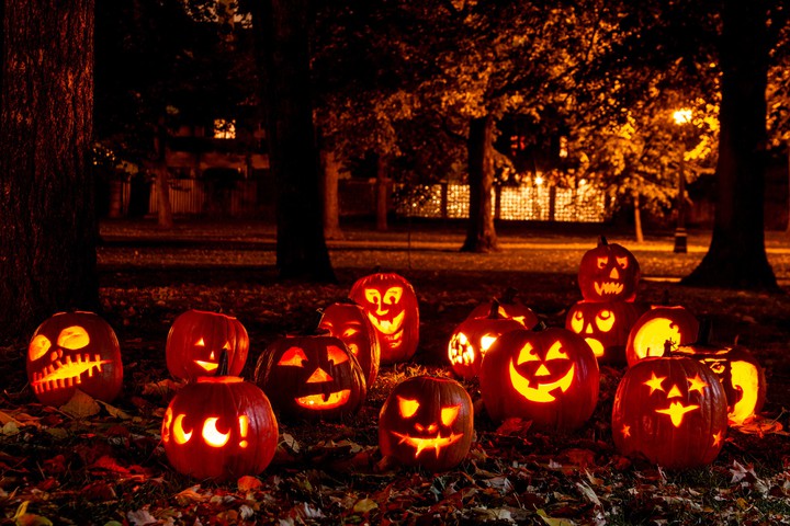 Happy Halloween