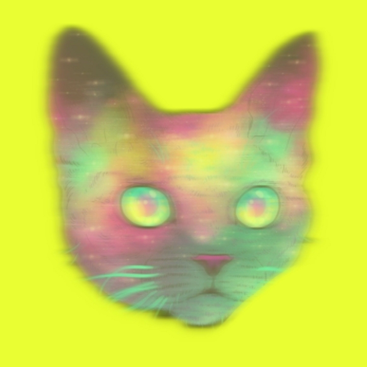cat miowing