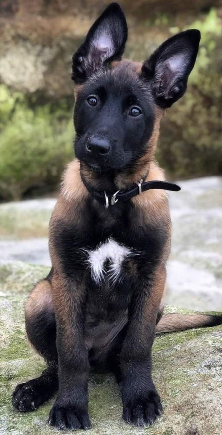 .