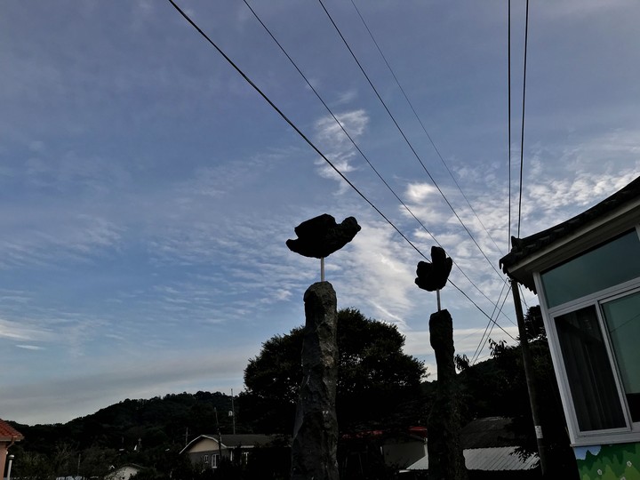 Sky