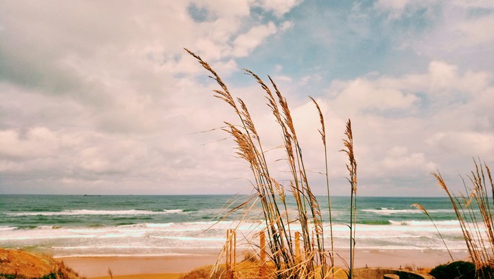 The Black Sea
