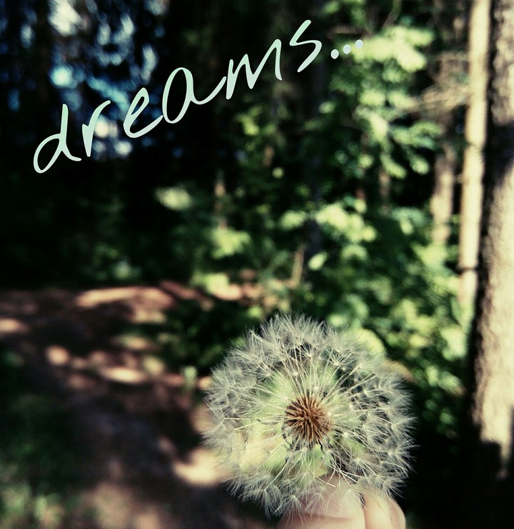 dreams