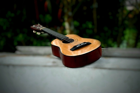 Guitar