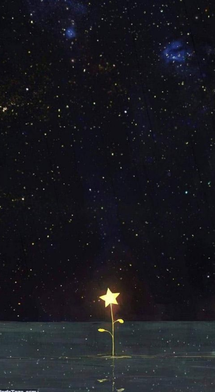 flower star♥️⭐