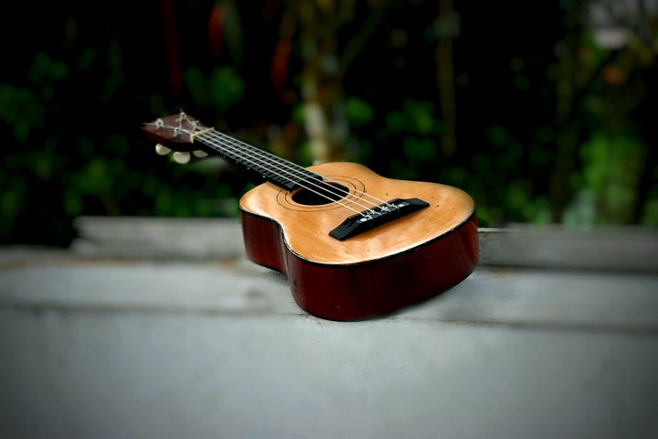 Guitar