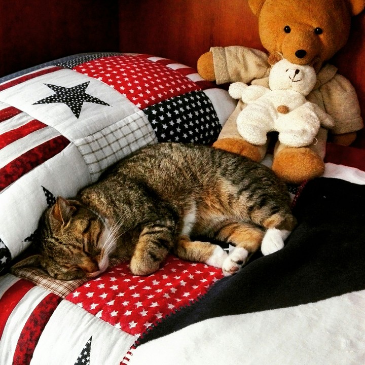Sleepy