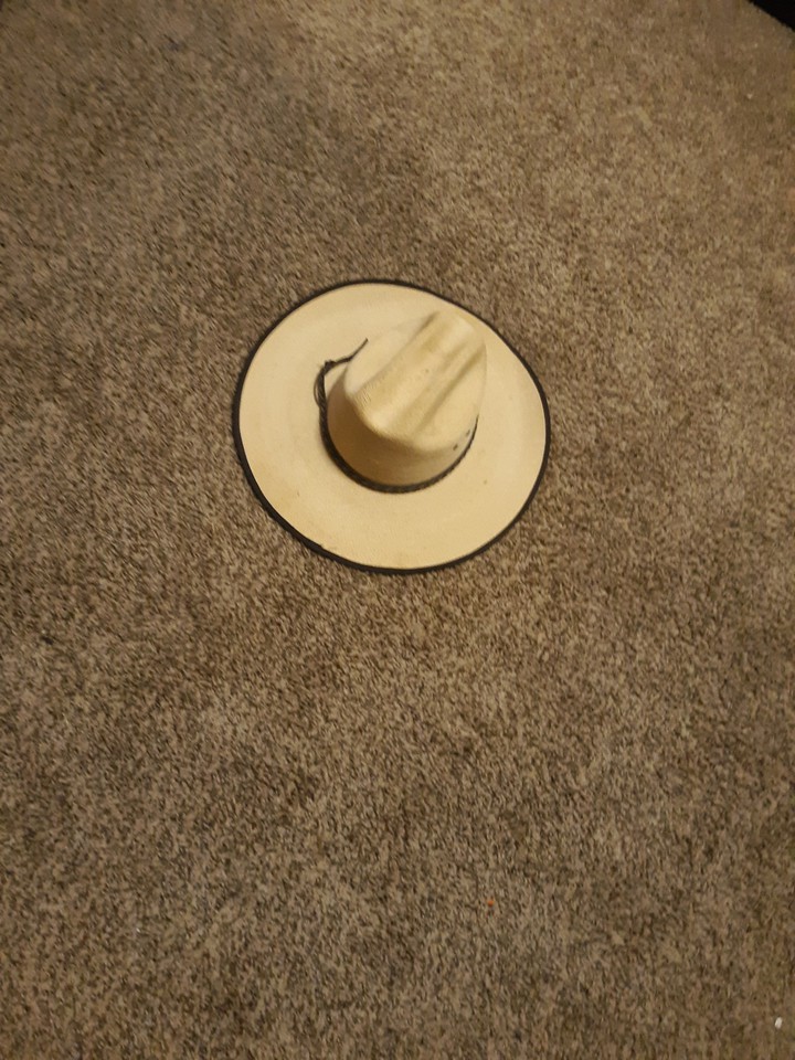 I wanna be a cowboy babie