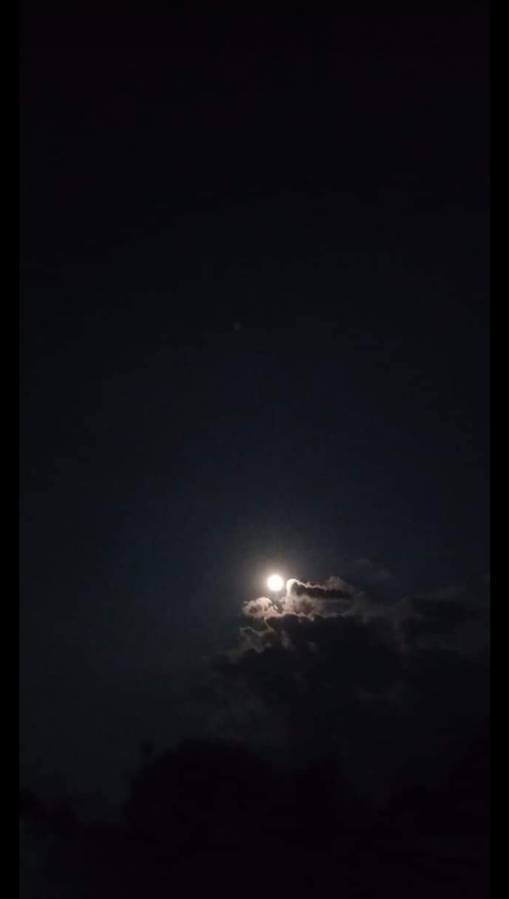 night