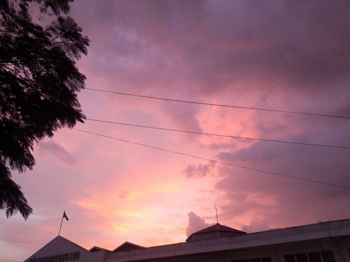 Lavender Sky