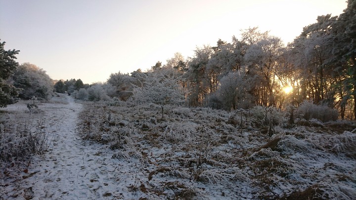 Cold morning pt3