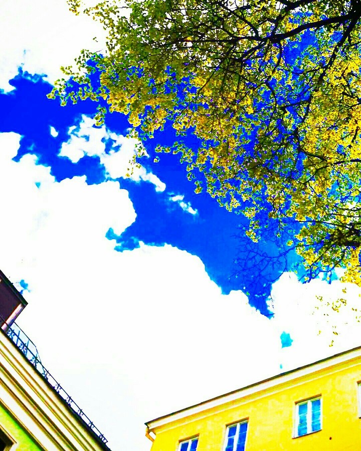 blue sky