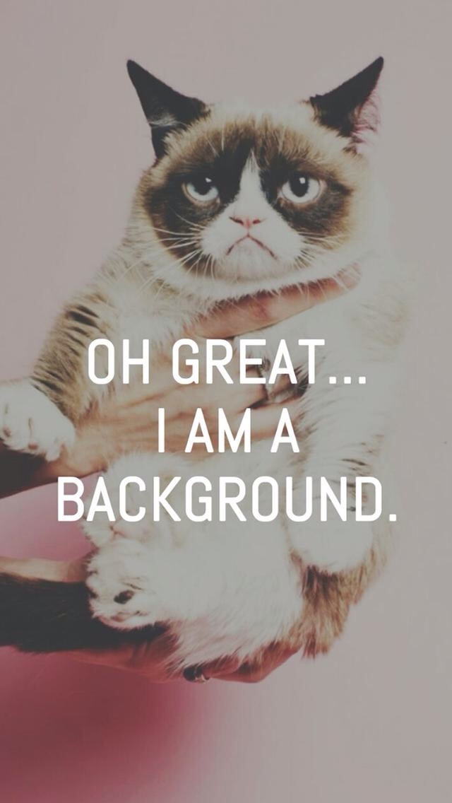 grumpy cat