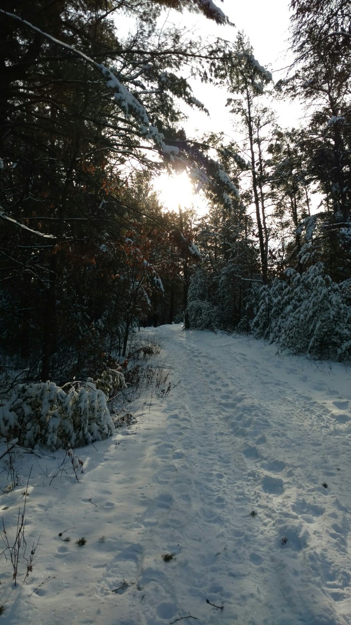 Lake Wazee Park