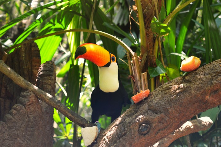 ?