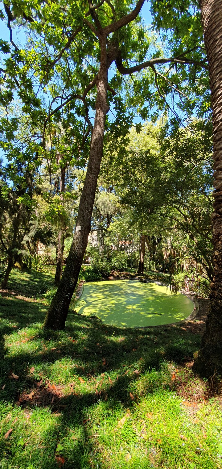 Jardimo Botanico