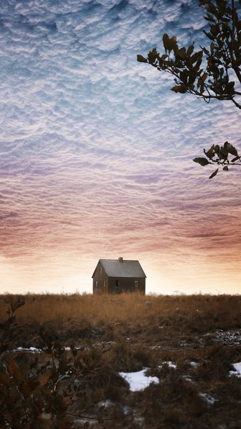House, ecoregion वॉलपेपर