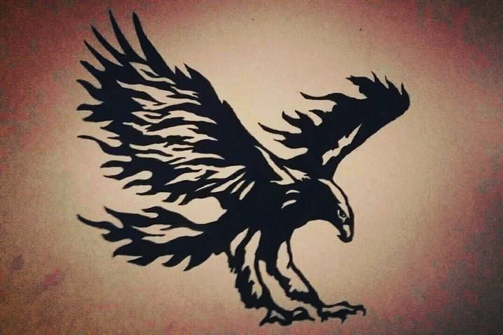 ☛black & white☜  EAGLE