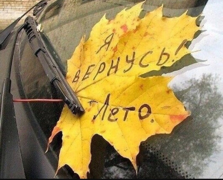 лето