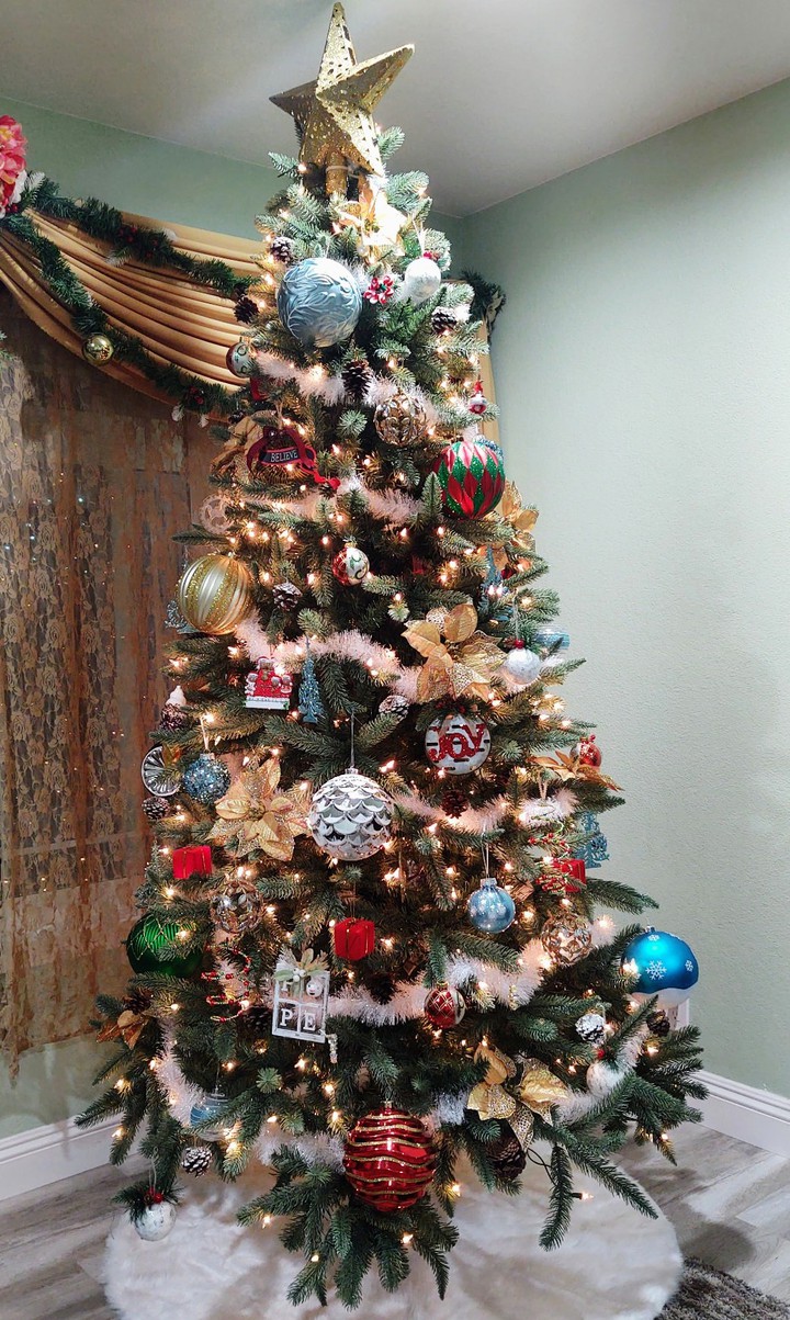 Our Christmas Tree ft. Snowy Blues (2020)