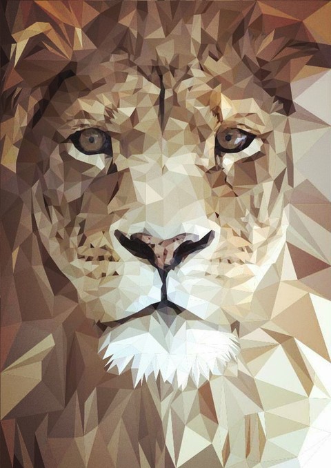 tapety head, fauna