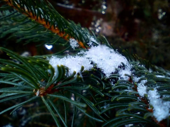 winter