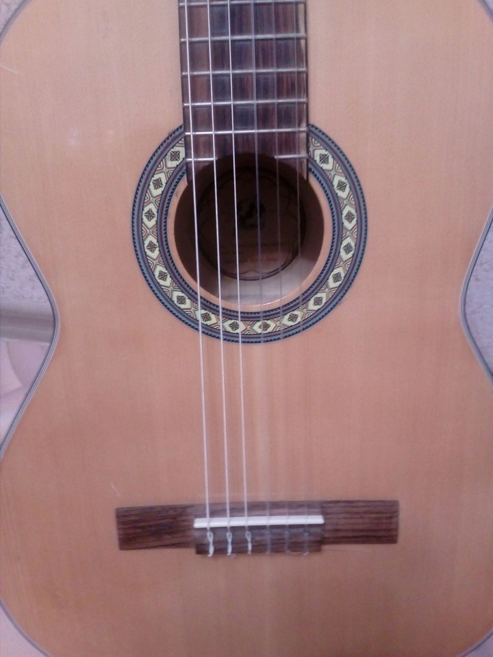 Guitar