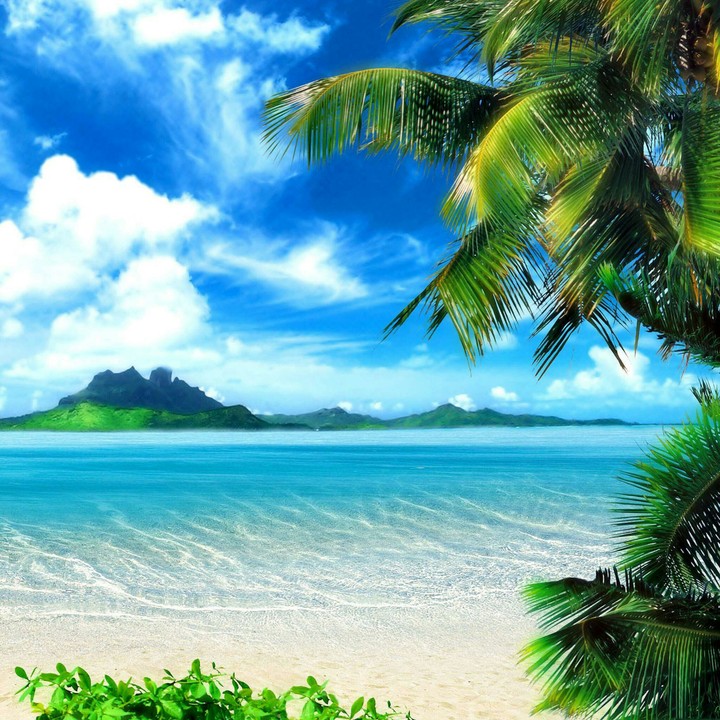 Wonderful Island