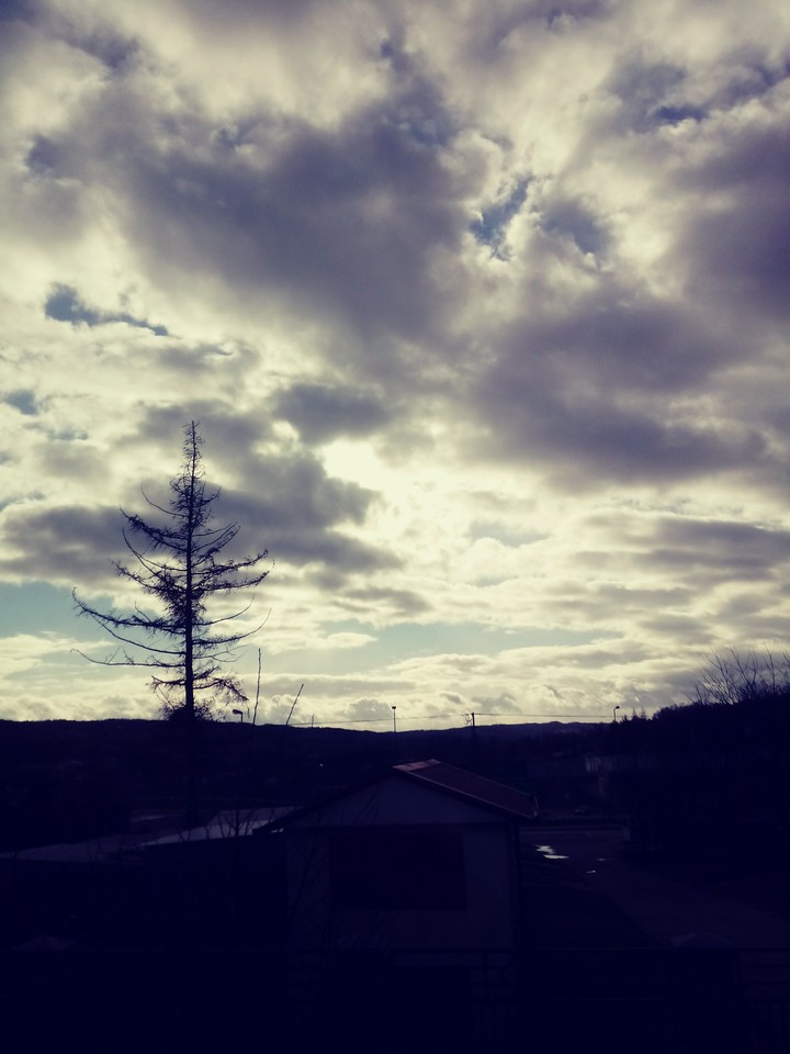 View from my Kitchen