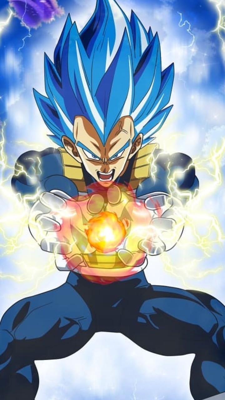 vegeta The proud prince ❤
