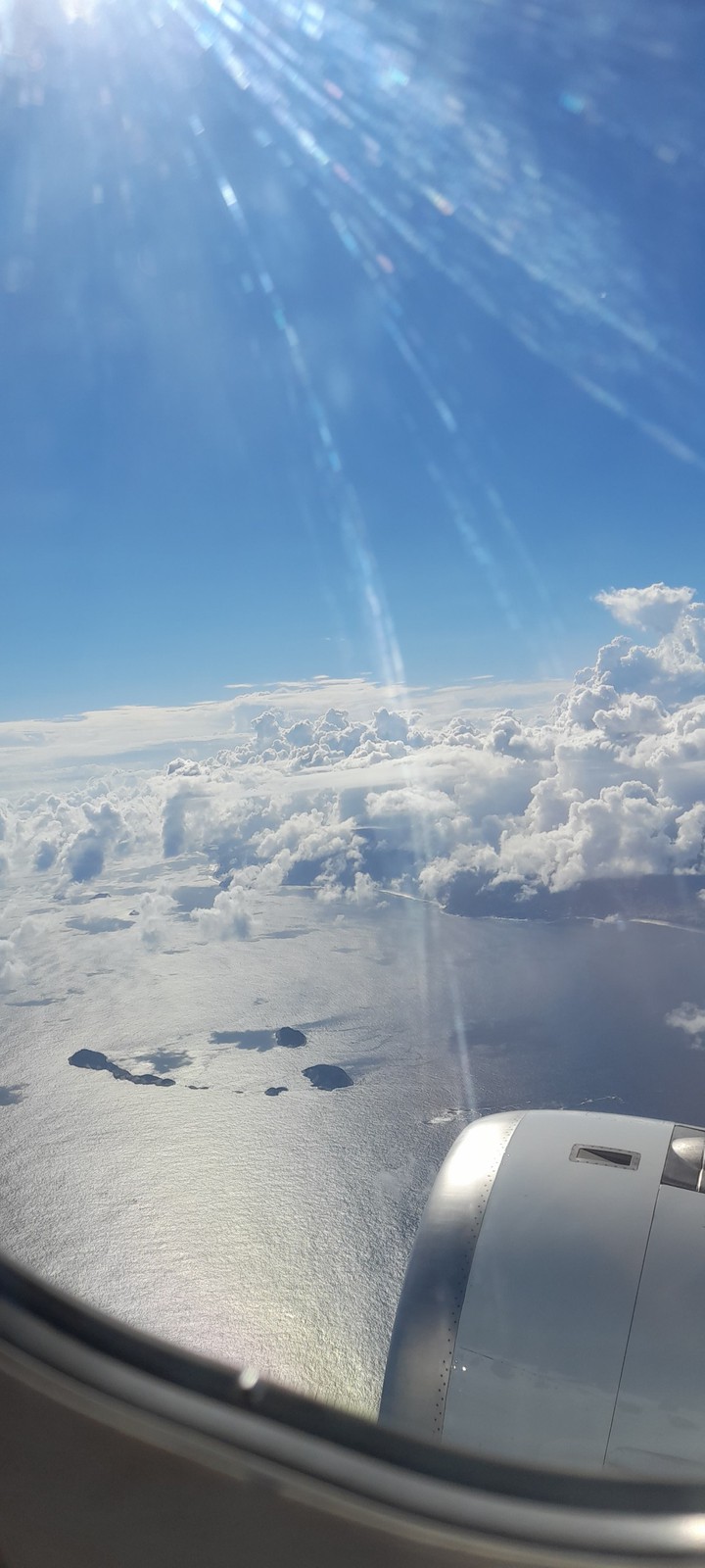 fly