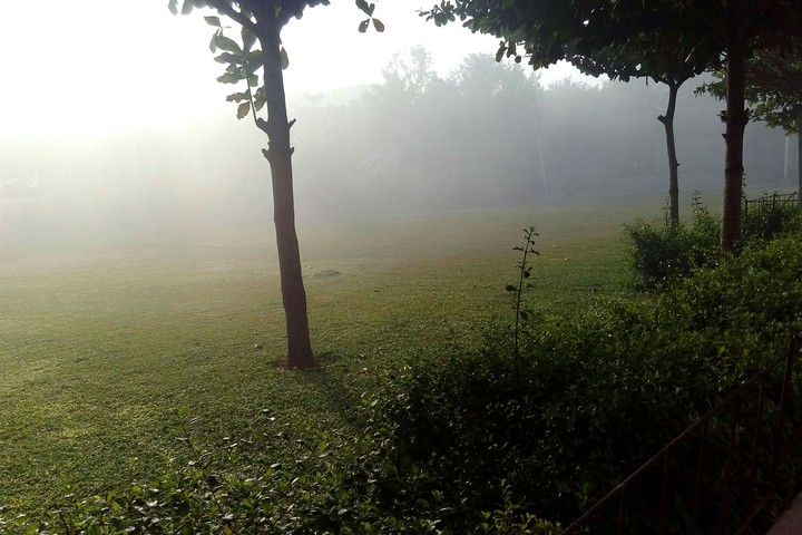 Foggy day