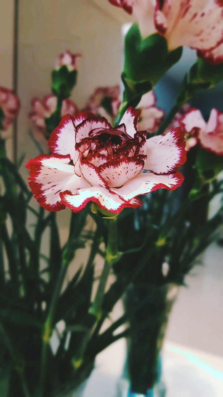 Lonely