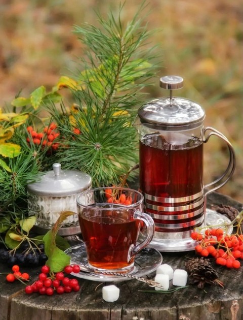 шпалери plant, drinkware