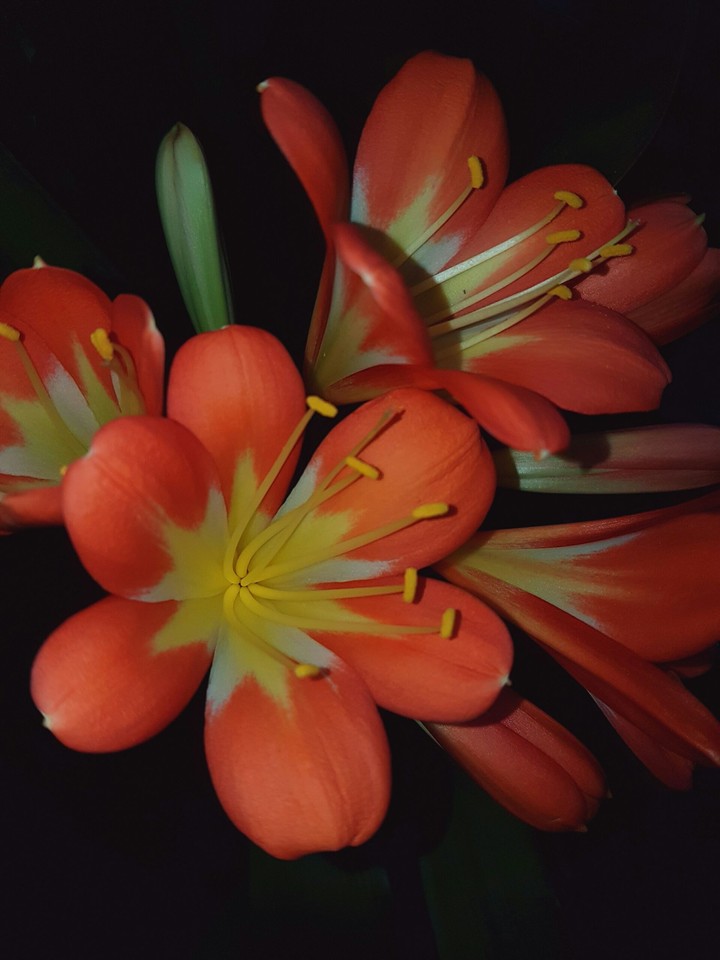 color