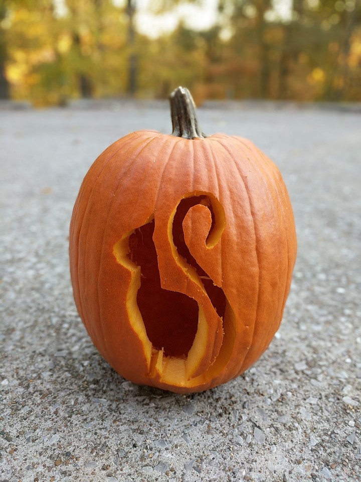 Cat Pumpkin
