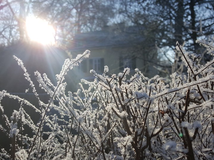 Wintersun