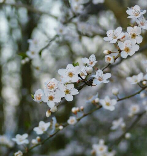 Beautiful
