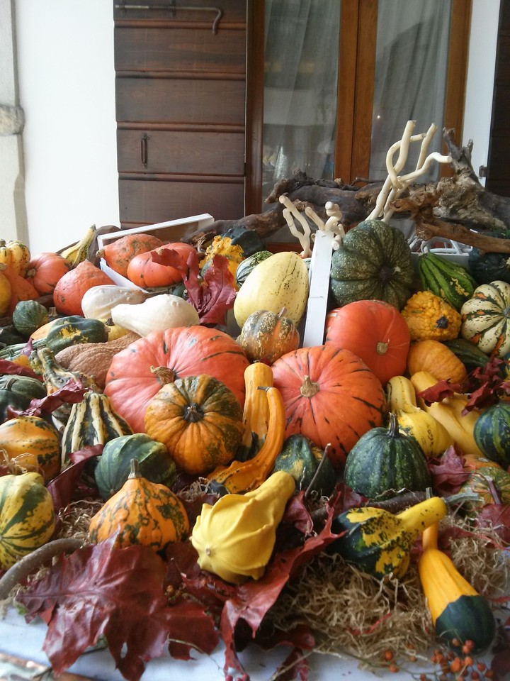 autumn veg