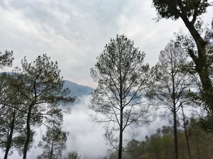 Mother Nature
