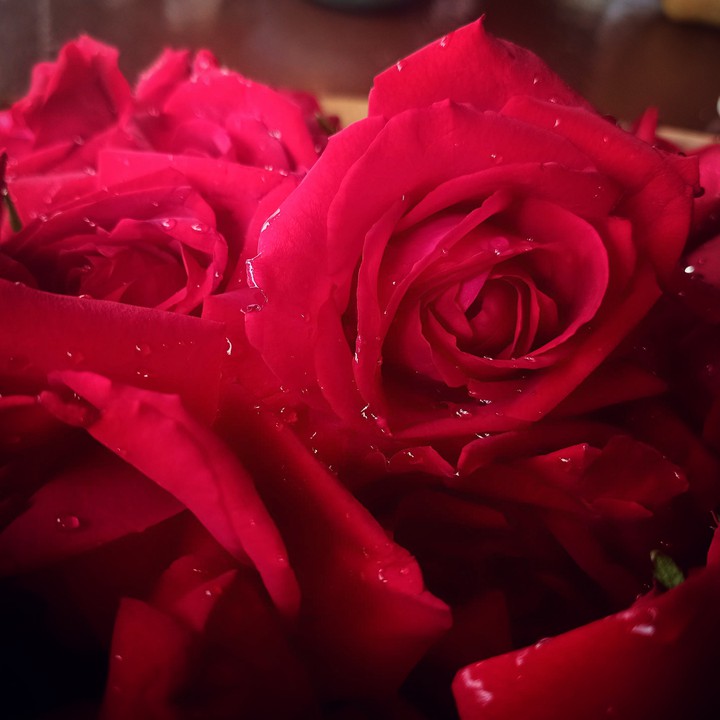 roses