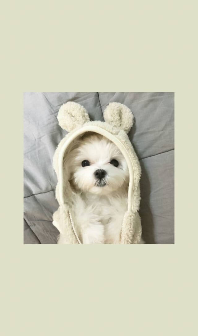 ?