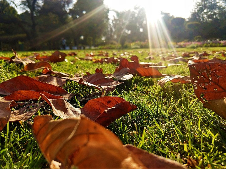 sun touch