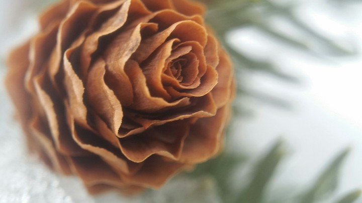 cone