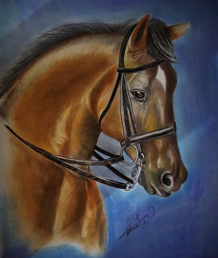 horse......beauty......paint ......by me ?????