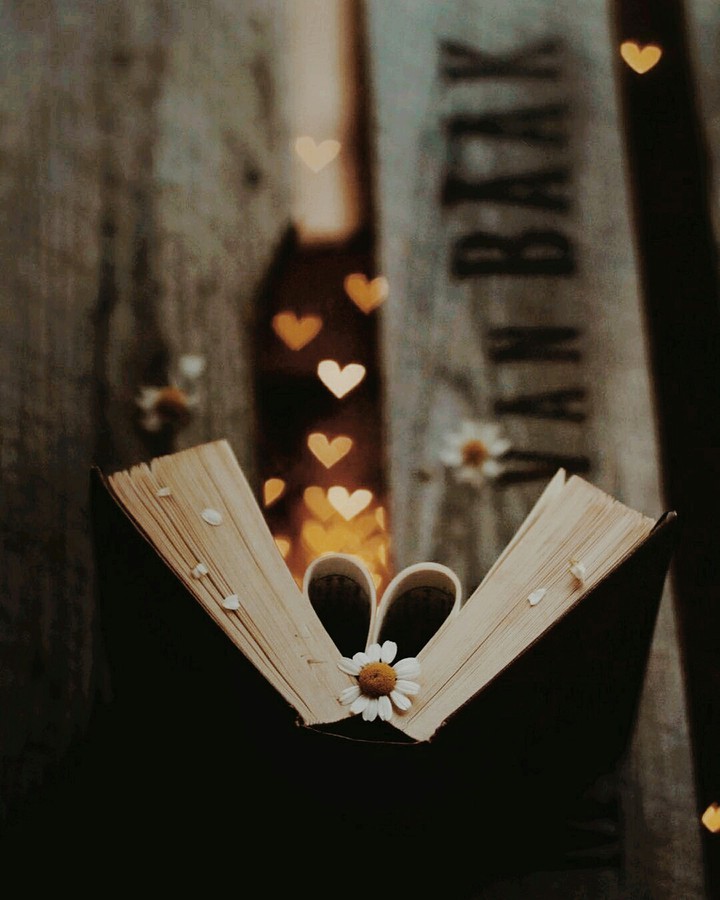 The Book of Love ❤️