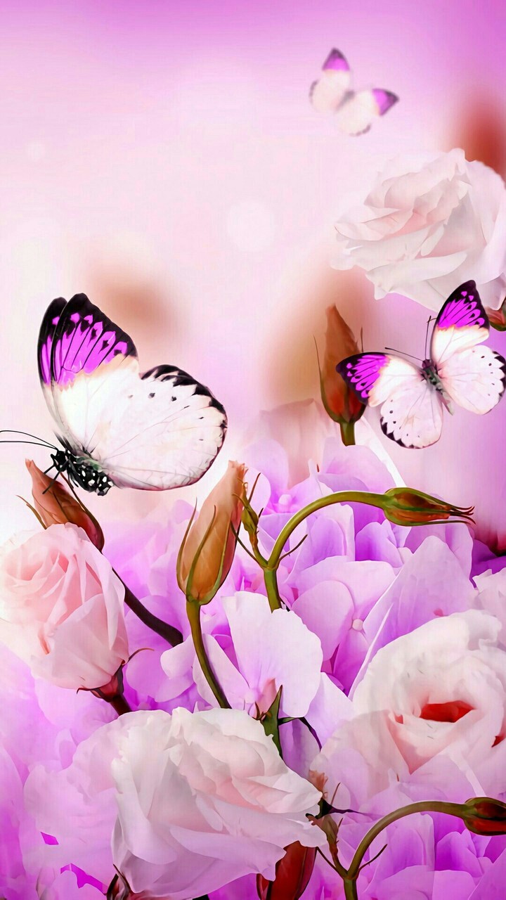Butterflies Wallpaper