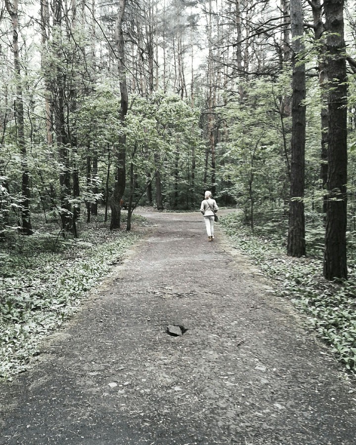 Forest
